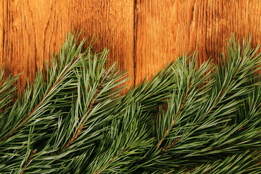 Similar image 5584855