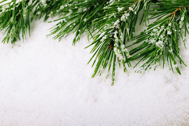 Similar image 5584857