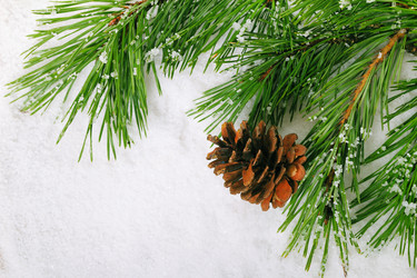 Similar image 5584858