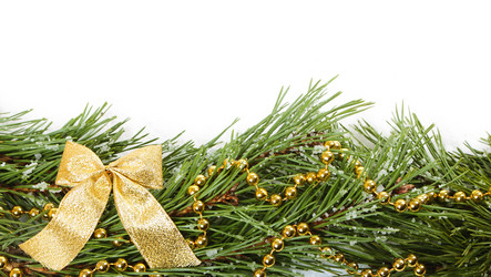 Similar image 5584868