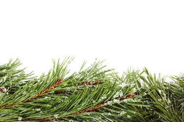 Similar image 5584881