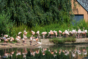 Similar image 5584969