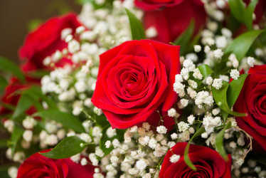 Similar image 5585024