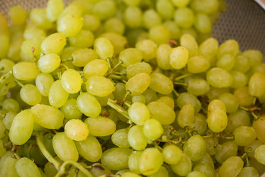 Similar image 5585025