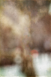 Similar image 5585037