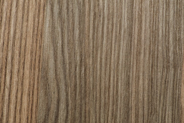 Similar image 5585058