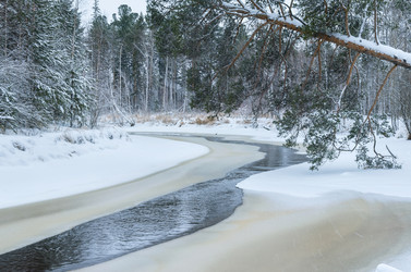 Similar image 5585321