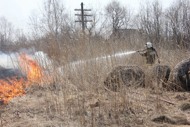 Similar image 5585628