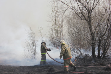 Similar image 5585629