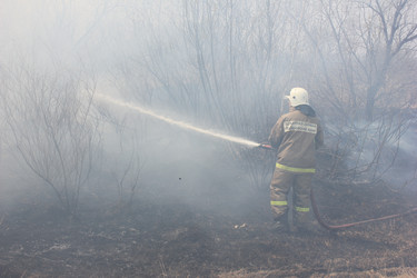 Similar image 5585631