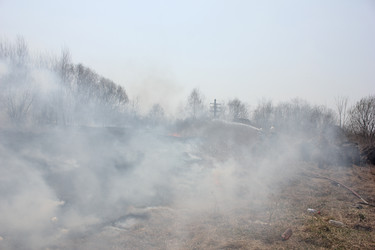 Similar image 5585632