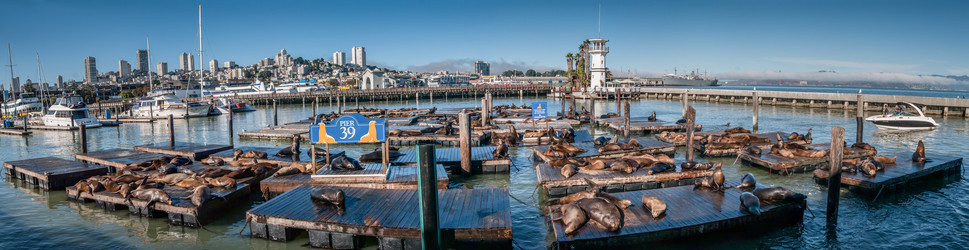 Similar image 5585685