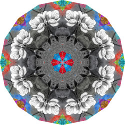 Similar image 5585752