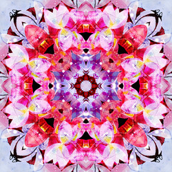 Similar image 5585760