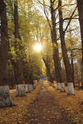 Similar image 5585772