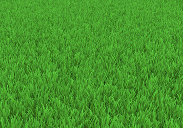 Similar image 5585773