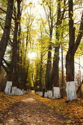 Similar image 5585791