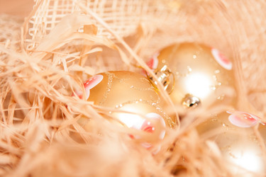 Similar image 5585817