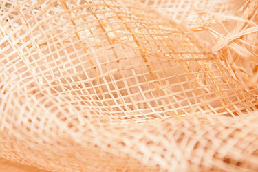 Similar image 5585821