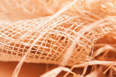 Similar image 5585823