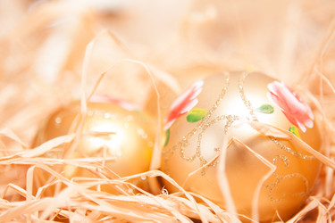 Similar image 5585832