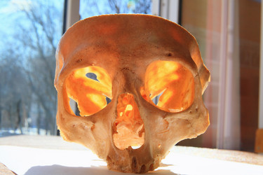 Similar image 5585919