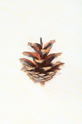 Similar image 5585921