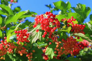 Similar image 5585926