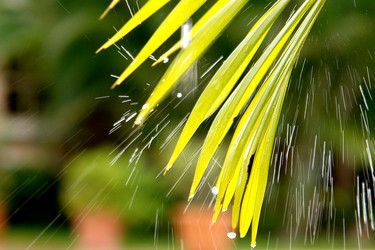 Similar image 5585962