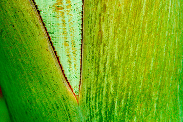 Similar image 5585963