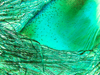 Similar image 5585964