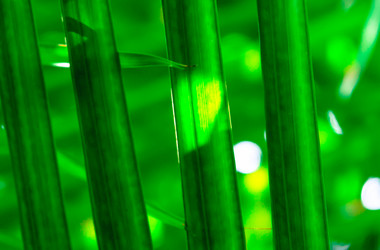 Similar image 5585966