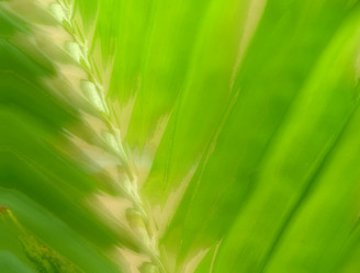 Similar image 5585972