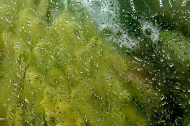 Similar image 5586005