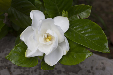 Similar image 5586066