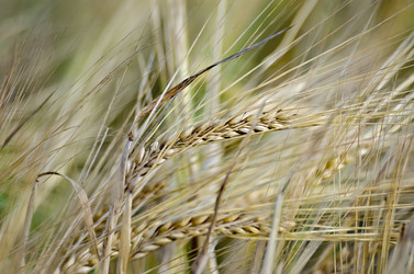 Similar image 5586128