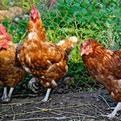 Similar image 5586135