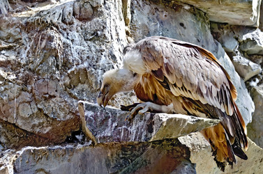 Similar image 5586196