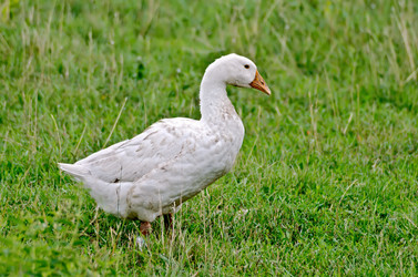 Similar image 5586206