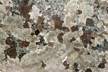 Similar image 5586210