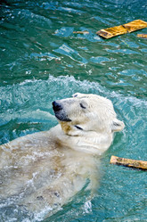 Similar image 5586318