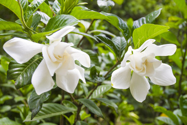 Similar image 5586346