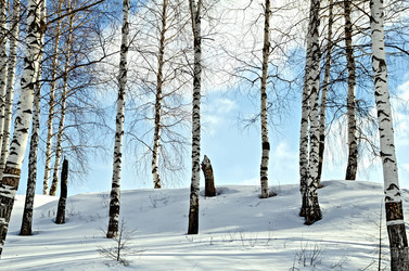 Similar image 5586376