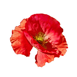 Similar image 5586427