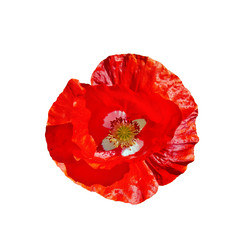 Similar image 5586428