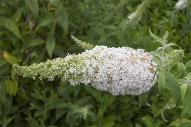 Similar image 5586470