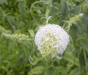 Similar image 5586473