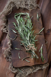 Similar image 5586493