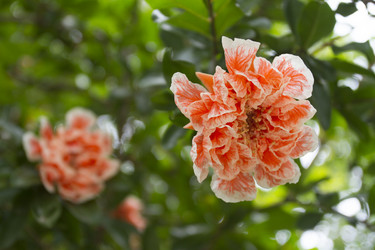 Similar image 5586504