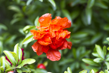 Similar image 5586505